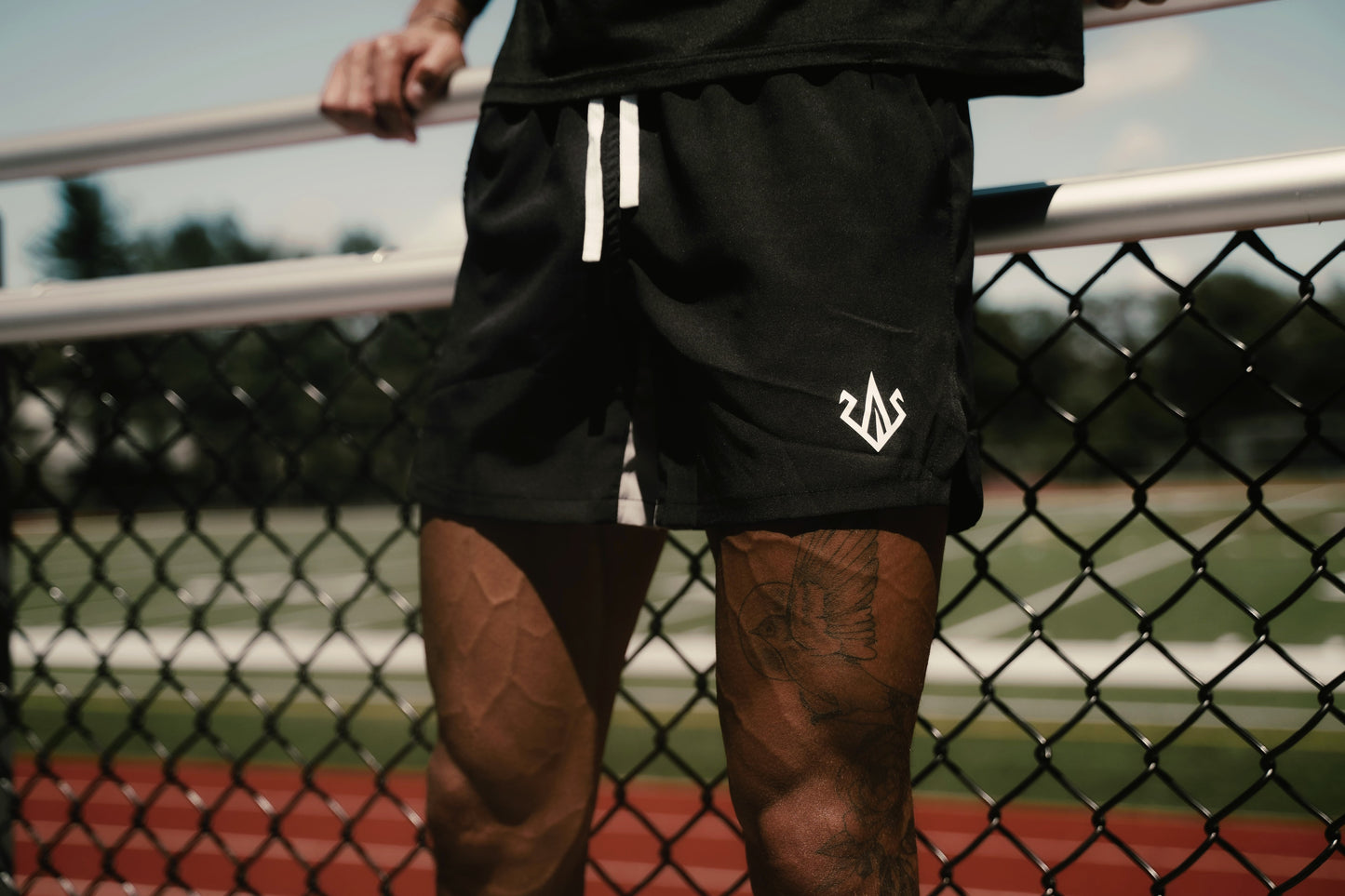 Black & Silver Two-Tone Shorts